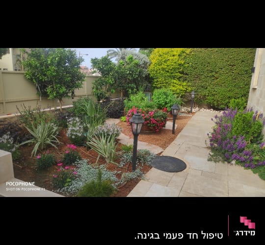 גינה מטופחת עם צמחים ופרחים צבעוניים